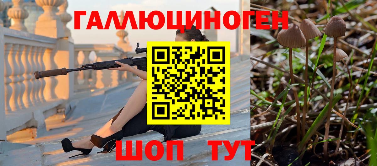 Галлюциногенные грибы GOLDEN TEACHER  Псилоцибиновые грибы Cubensis  Рассказово  Вход с VPN 