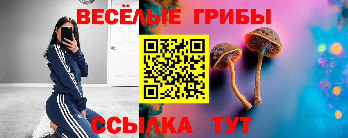 Галлюциногенные грибы мухоморы Рассказово